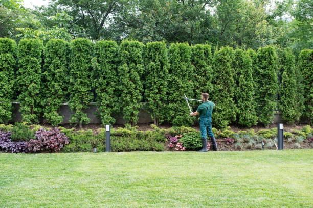 Best Artificial Turf Installation  in Sandy, UT